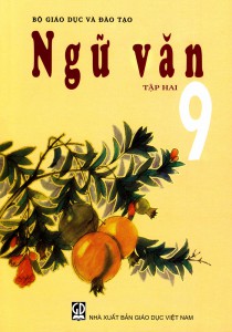 VĂN 9.BÀI 8. THTV